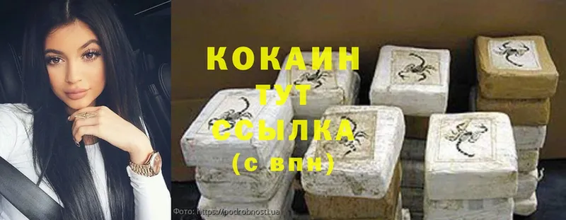 где найти   Урюпинск  Cocaine Fish Scale 